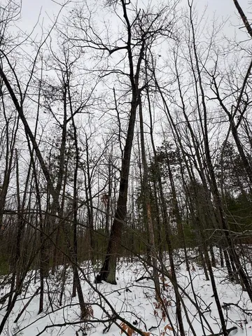 $154,900 | 12871 Highway 33, Atlanta, MI 49709