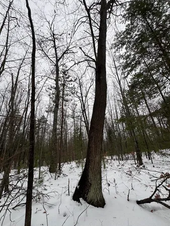 $149,900 | 12871 Highway 33, Atlanta, MI 49709
