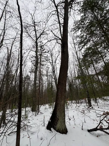 $154,900 | 12871 Highway 33, Atlanta, MI 49709