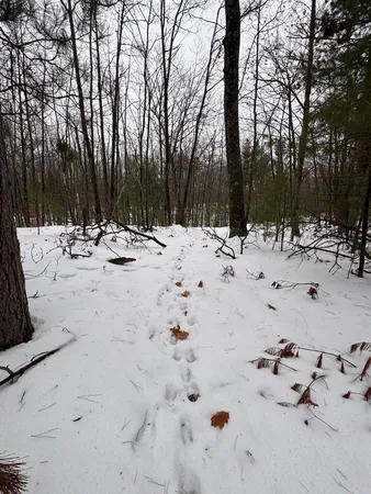 $149,900 | 12871 Highway 33, Atlanta, MI 49709