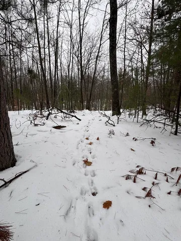 $154,900 | 12871 Highway 33, Atlanta, MI 49709