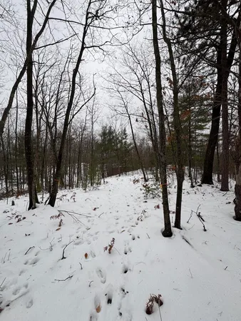 $149,900 | 12871 Highway 33, Atlanta, MI 49709