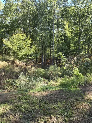 $158,900 | 6526 West Church Circle Drive, Lyles, TN 37098