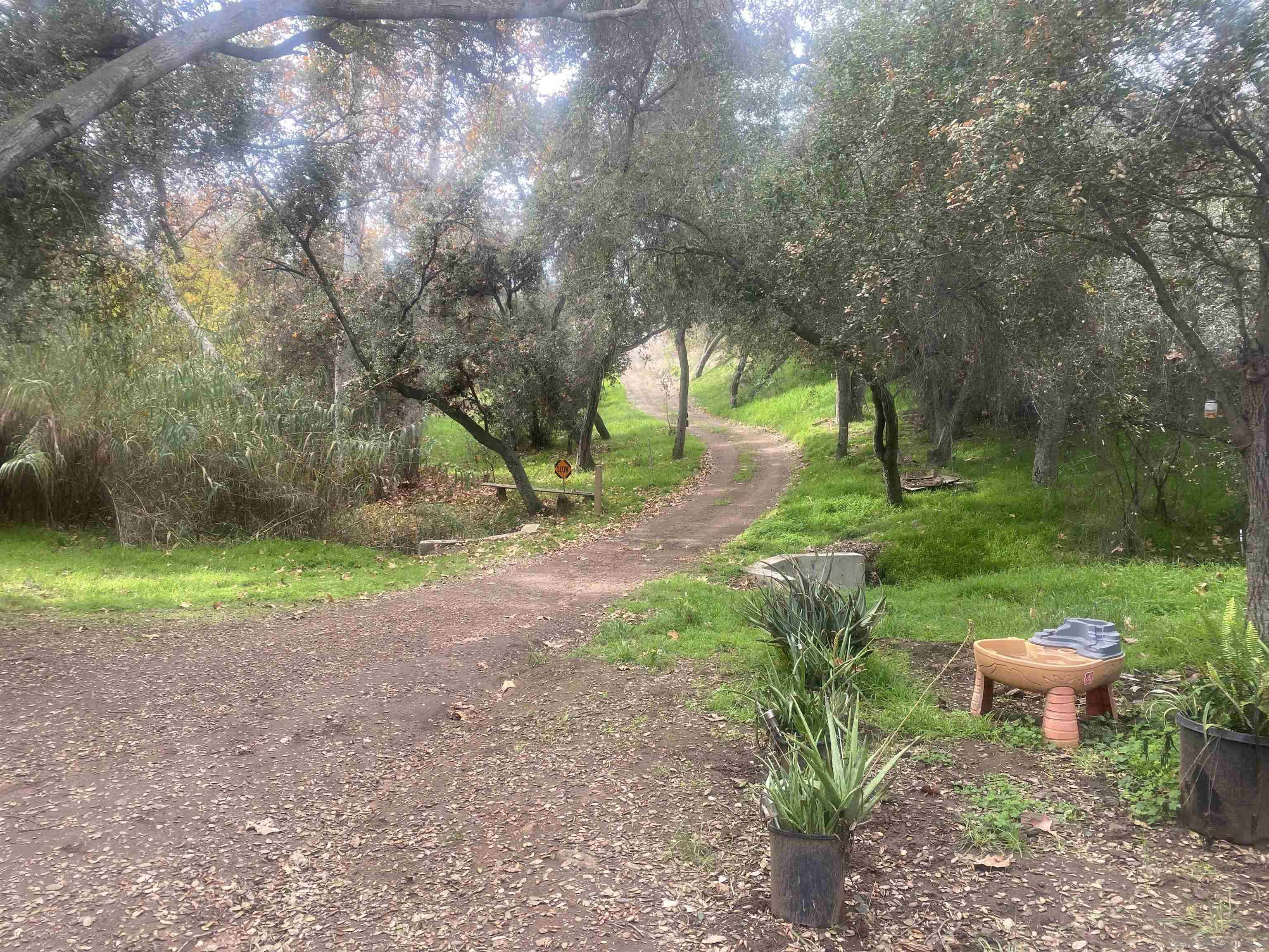 a view of a backyard with large trees