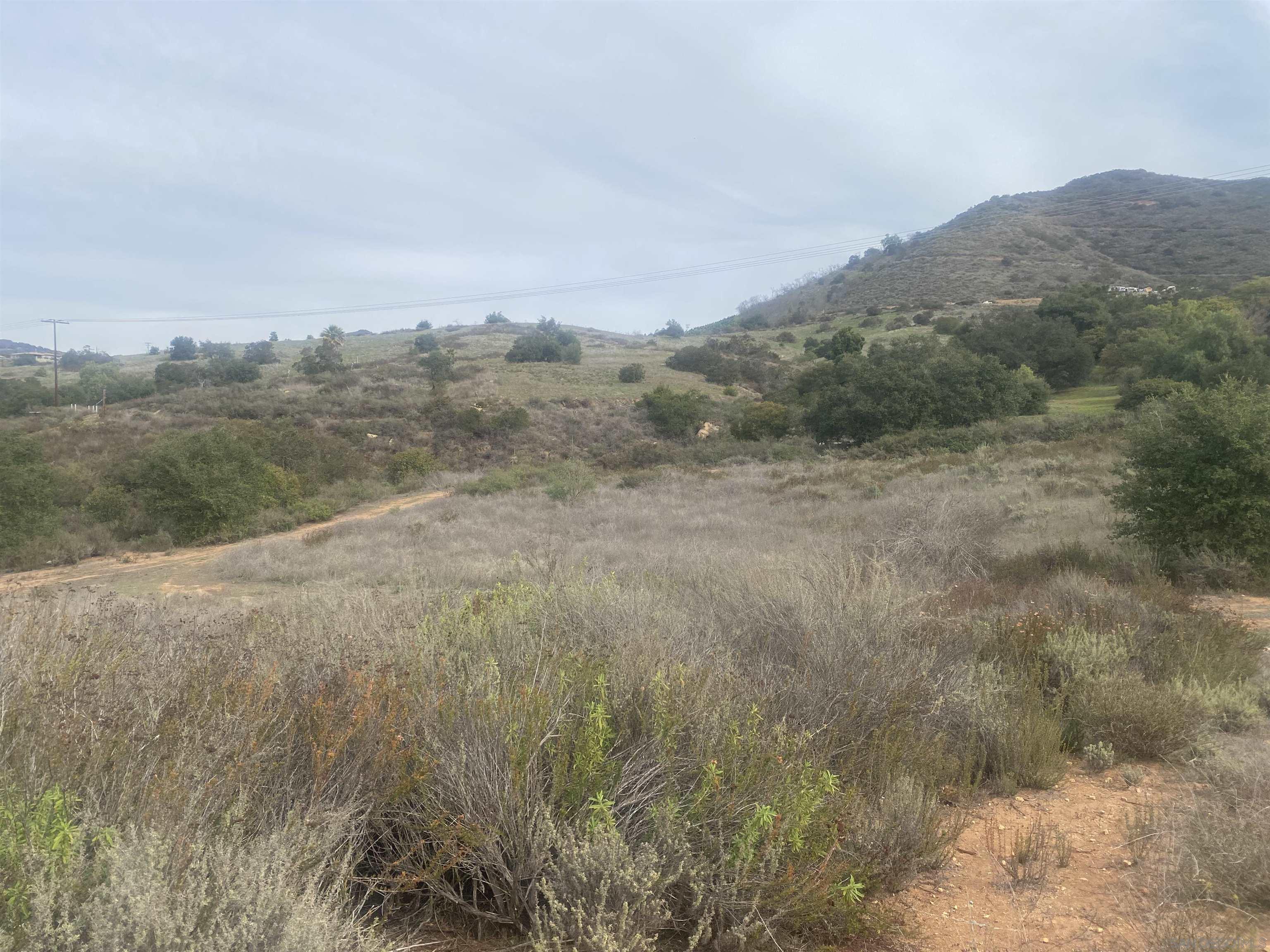 9 Lilac Road Valley Center, CA 92082 - Photo 11 of 27 a view of a dry yard with mountains in the background
