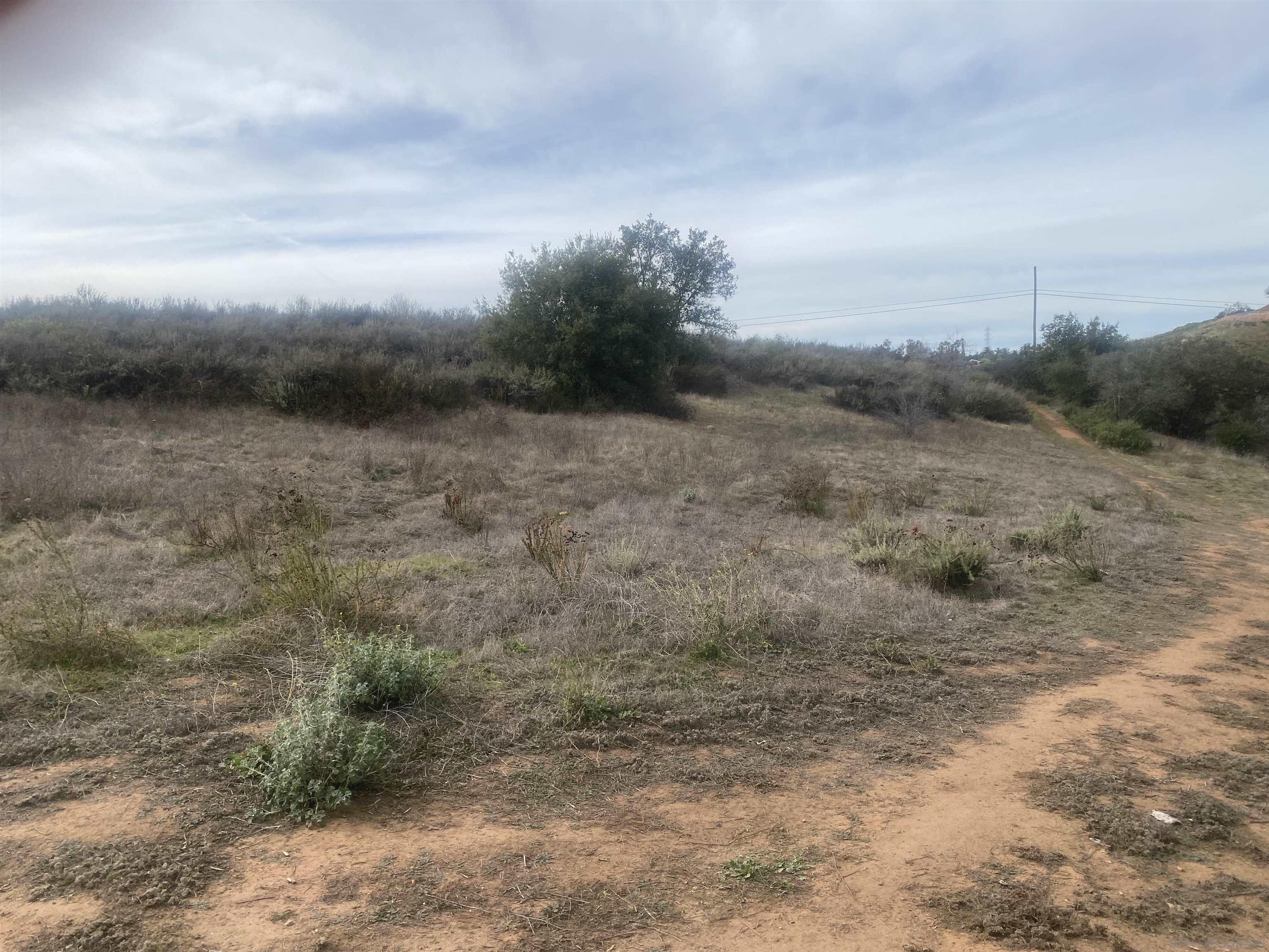 9 Lilac Road Valley Center, CA 92082 - Photo 13 of 27 a view of a dry yard with wooden fence