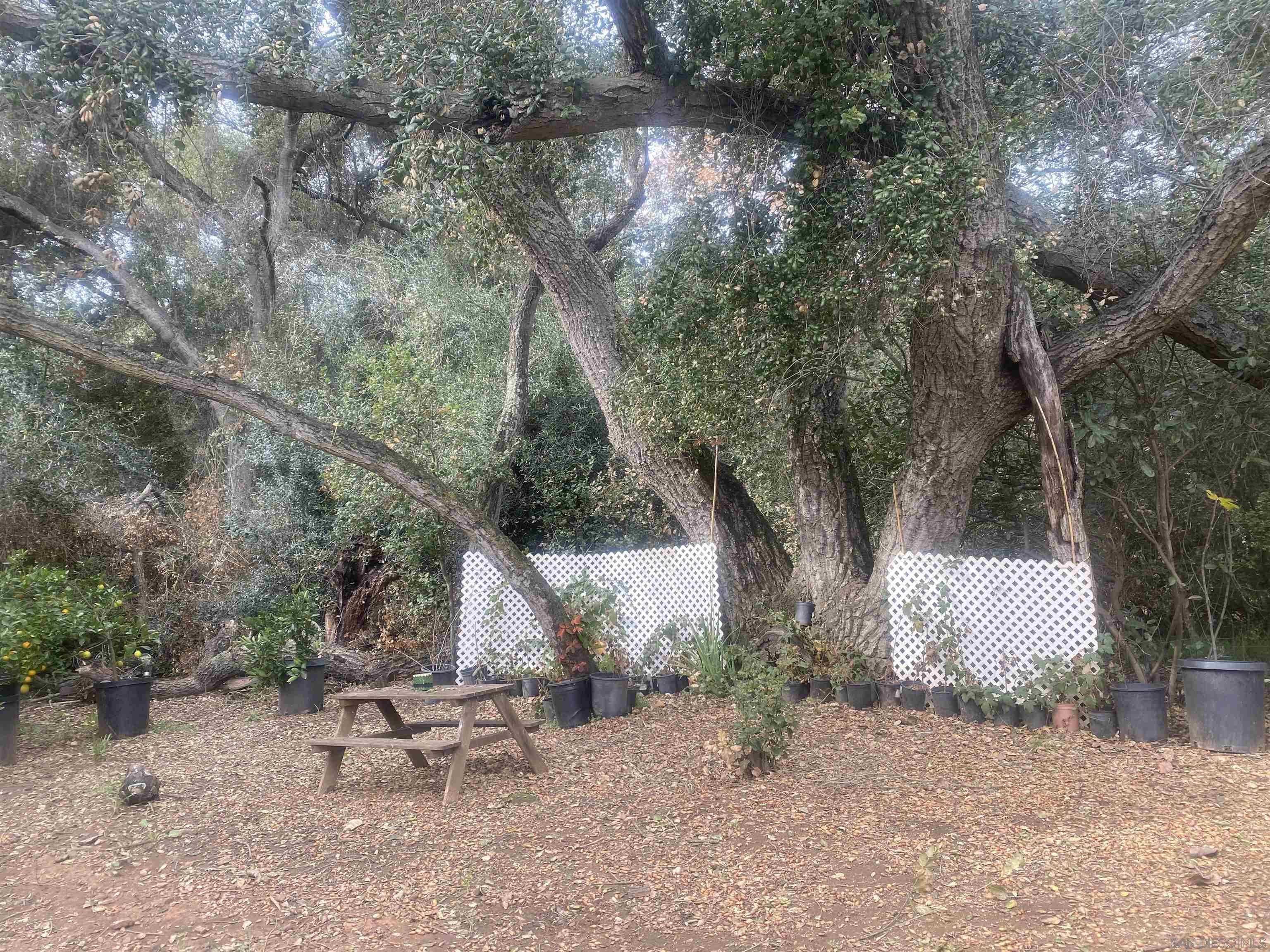 9 Lilac Road Valley Center, CA 92082 - Photo 17 of 27 a backyard of a house with table and chairs