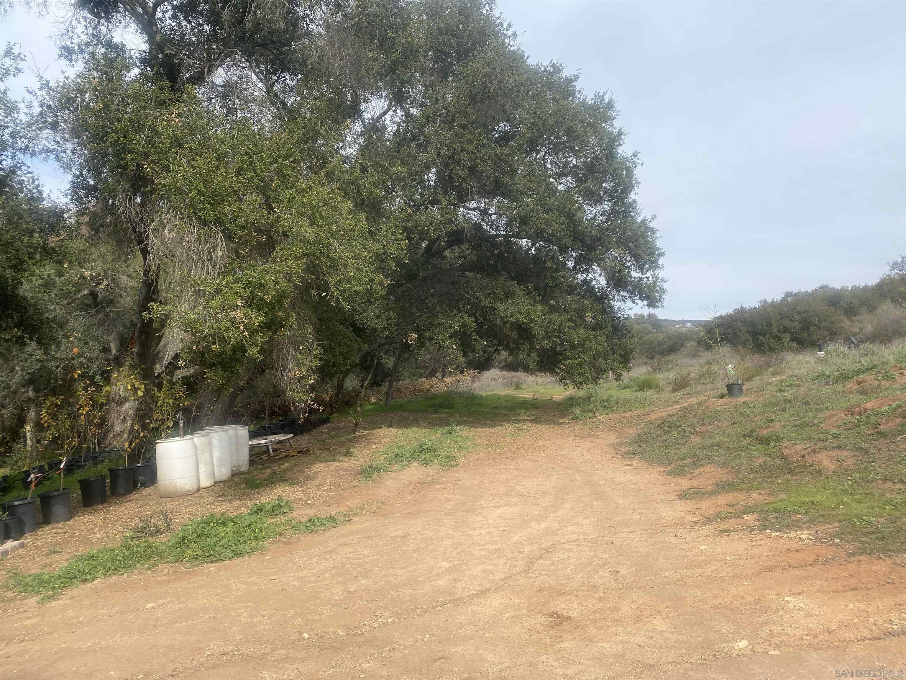 9 Lilac Road Valley Center, CA 92082 - Photo 18 of 27 a view of a yard with large trees