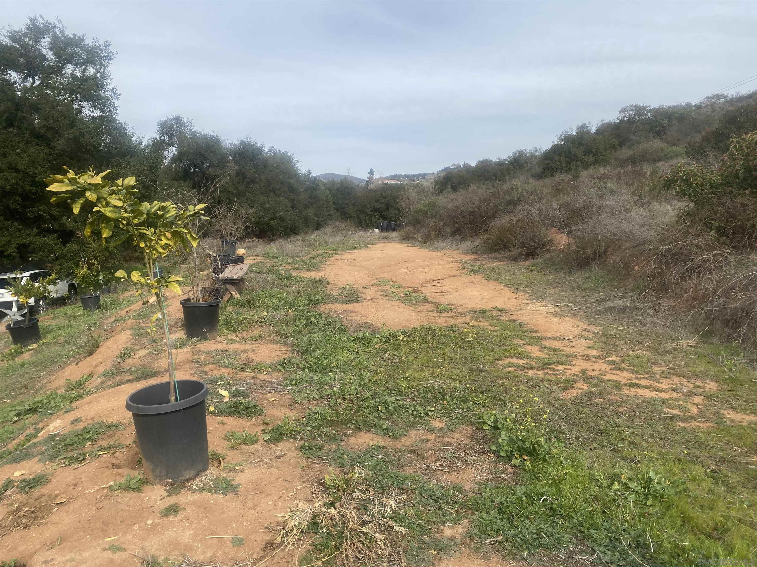 9 Lilac Road Valley Center, CA 92082 - Photo 19 of 27 a view of a backyard of the house