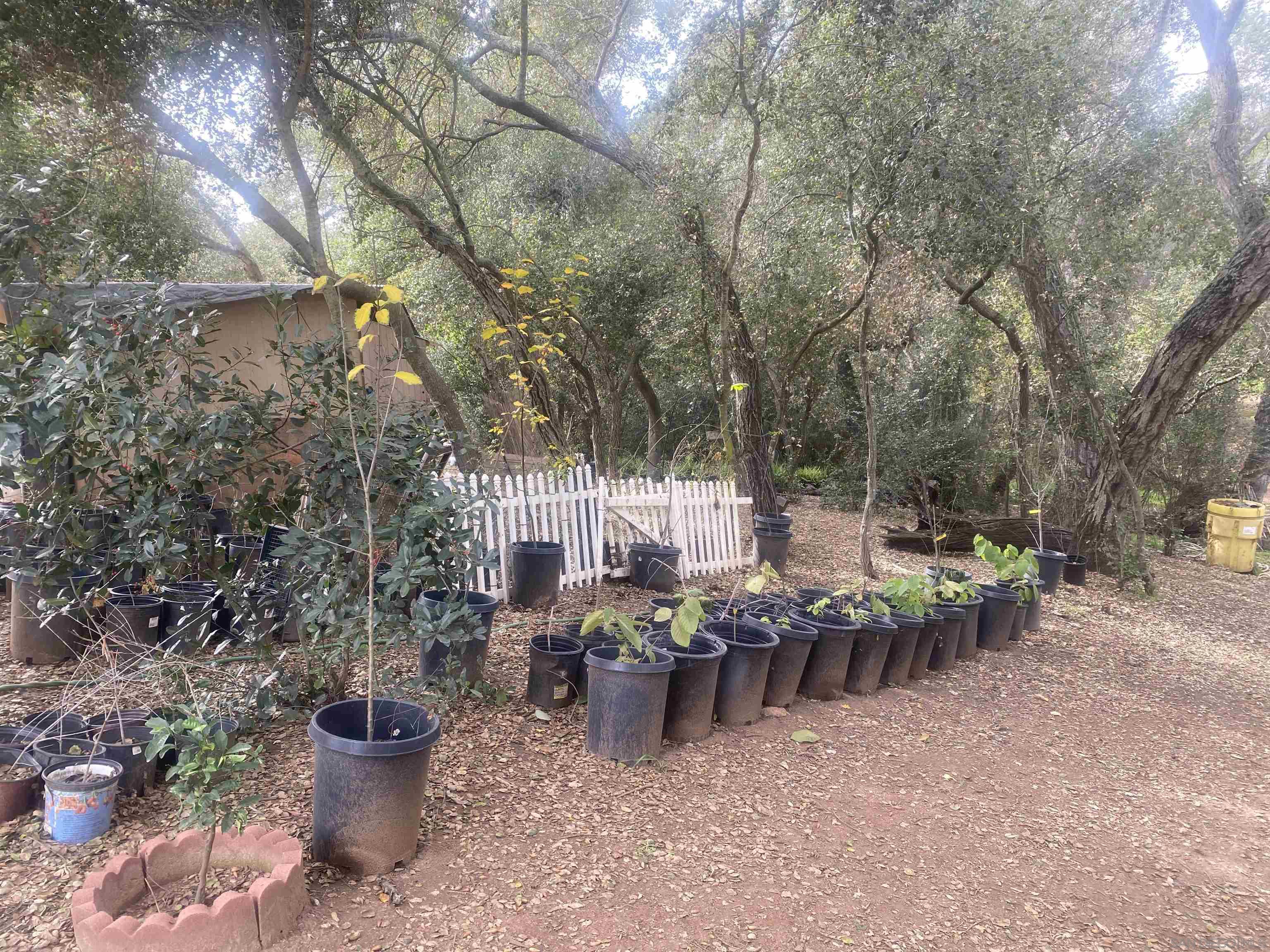 9 Lilac Road Valley Center, CA 92082 - Photo 24 of 27 a view of a patio with table and chairs and potted plants