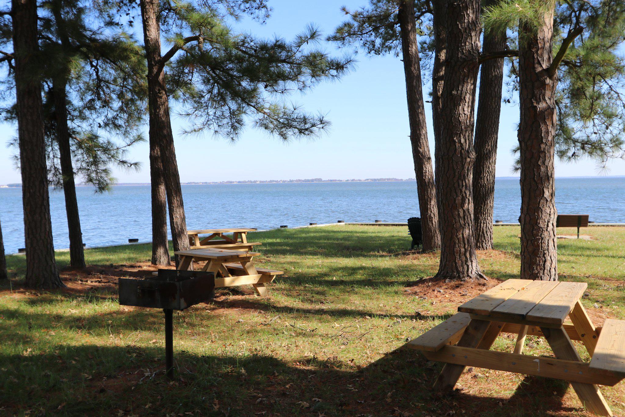 342 Wicomico Road Stevensville, MD 21666 - Photo 49 of 61 Picinic on the shore under tall pines.