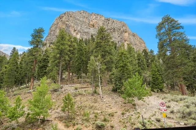 $780,000 | 4830 Silver Tip Trail, Mount Charleston, NV 89124