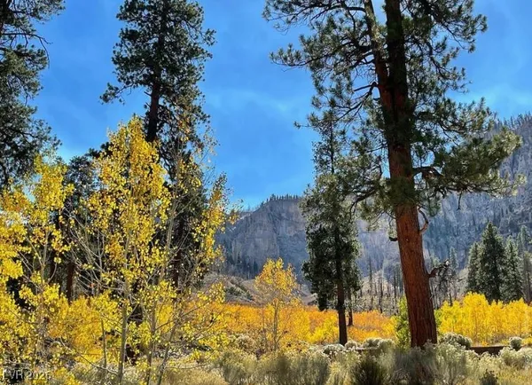 $780,000 | 4830 Silver Tip Trail, Mount Charleston, NV 89124