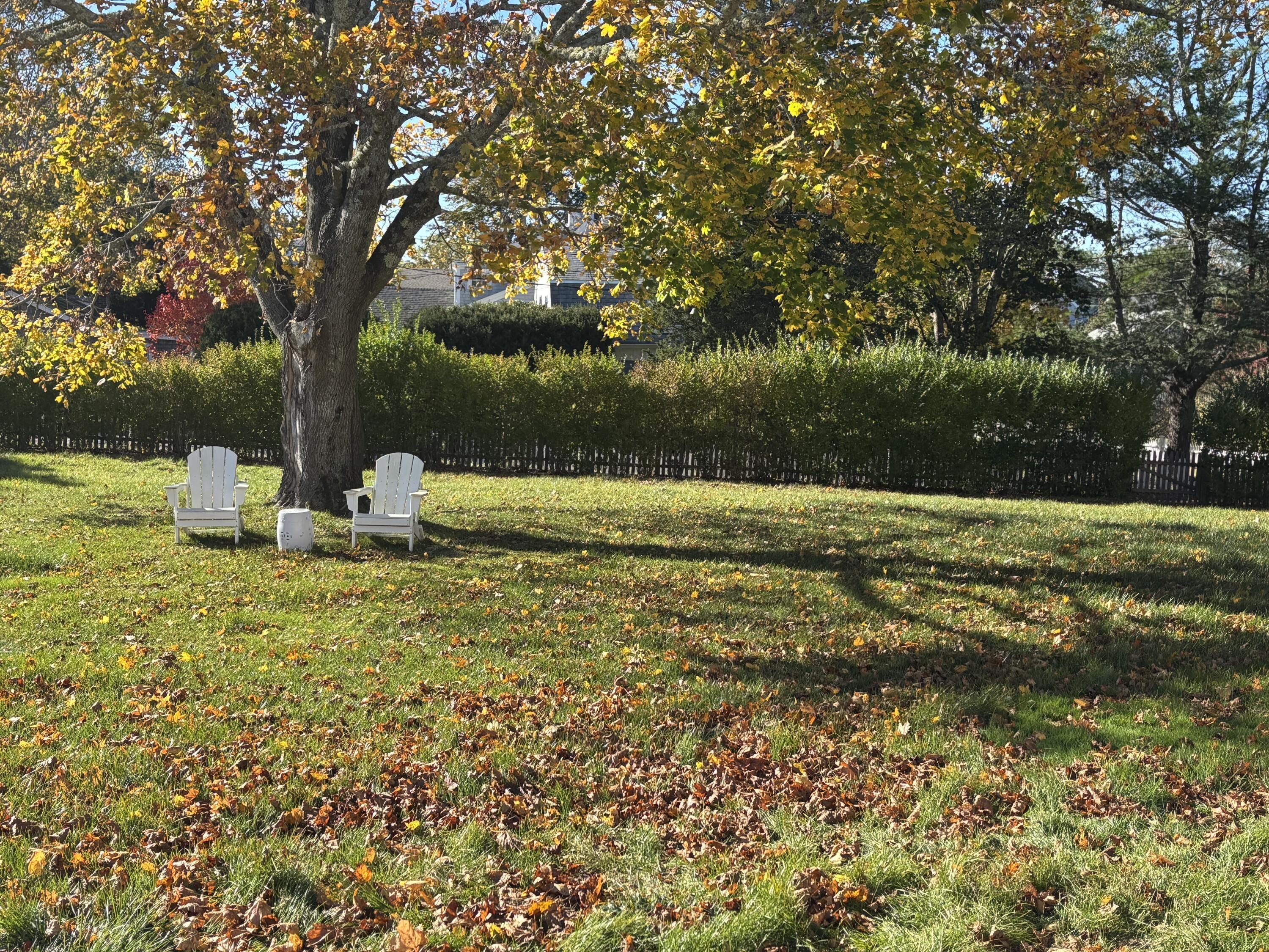 33 Sunset Lane Osterville, MA 02655 - Photo 3 of 3 a view of a garden with an outdoor space
