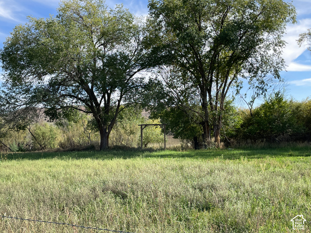 70 Horseshoe Bend Road Vernal, UT 84078 - Photo 49 of 54 Grassy area borders the river and features a handline for watering