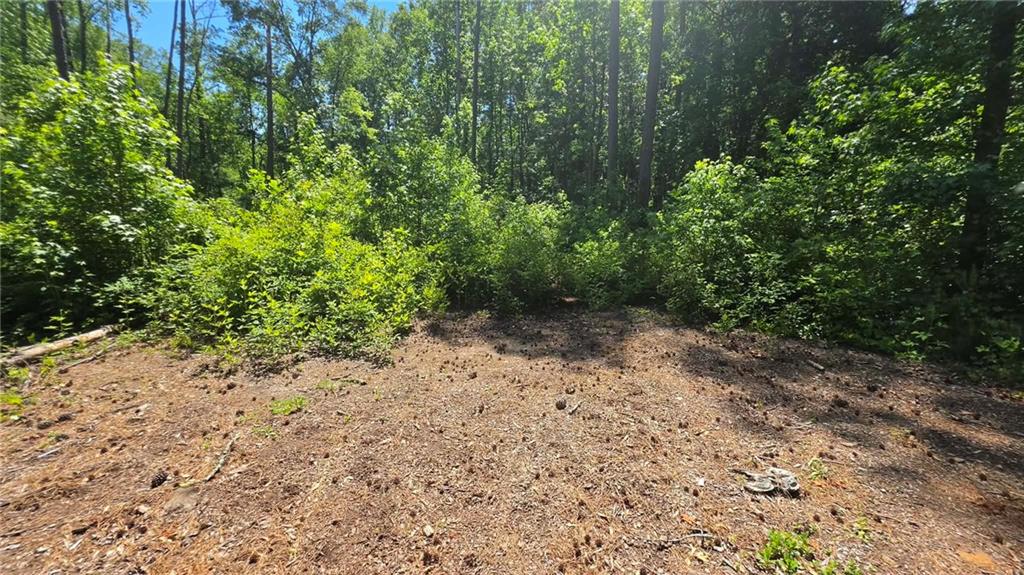 6099 Old Alabama Road Southwest Austell, GA 30168 - Photo 2 of 5 a view of a yard with plants and a tree