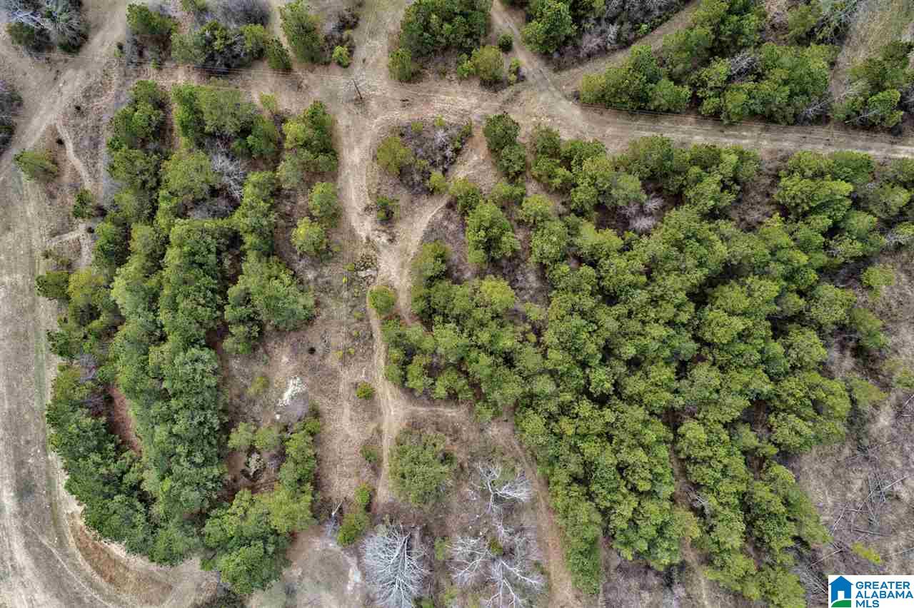 620 Chief Albert Road Blountsville, AL 35031 - Photo 15 of 15