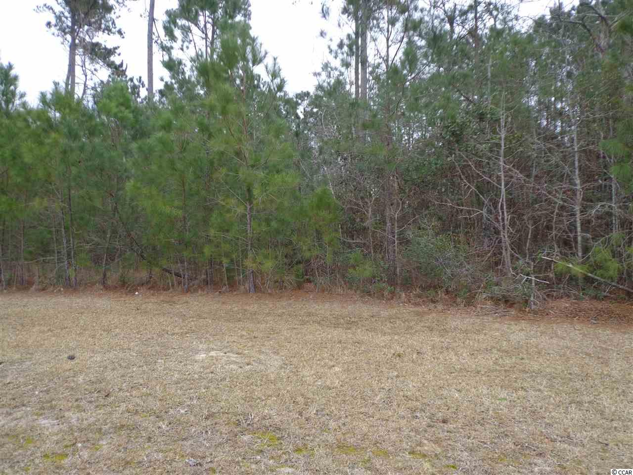 Tbd Grey Moss Road Murrells Inlet, SC 29576 - Photo 1 of 11 Gallery Image 1
