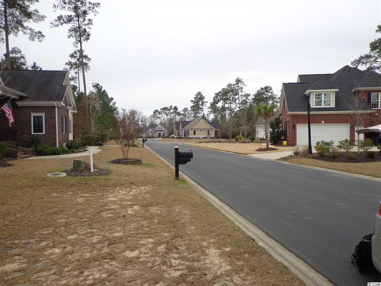 Tbd Grey Moss Road Murrells Inlet, SC 29576 - Photo 4 of 11 Gallery Image 4
