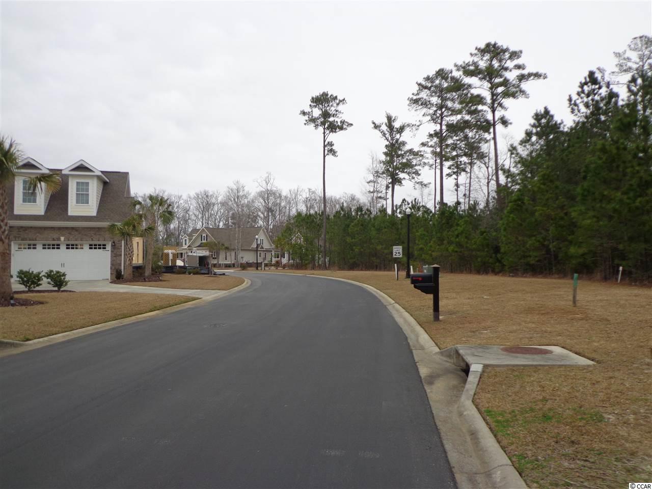 Tbd Grey Moss Road Murrells Inlet, SC 29576 - Photo 5 of 11 Gallery Image 5