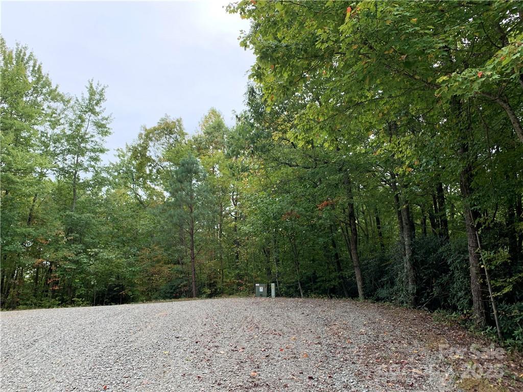 0 Eastatoe Gap Road Rosman, NC 28772 - Photo 11 of 11 a view of a forest with trees in the background