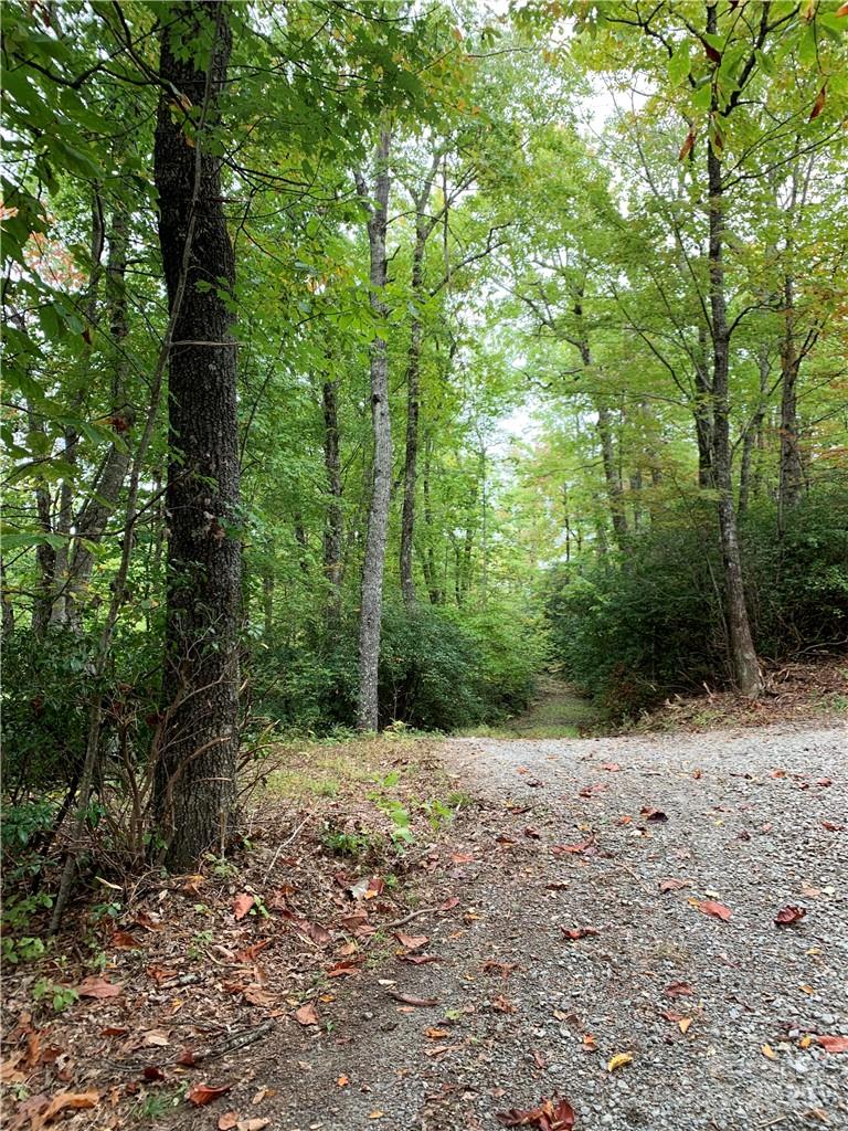 0 Eastatoe Gap Road Rosman, NC 28772 - Photo 2 of 11 a view of a forest with trees in the background