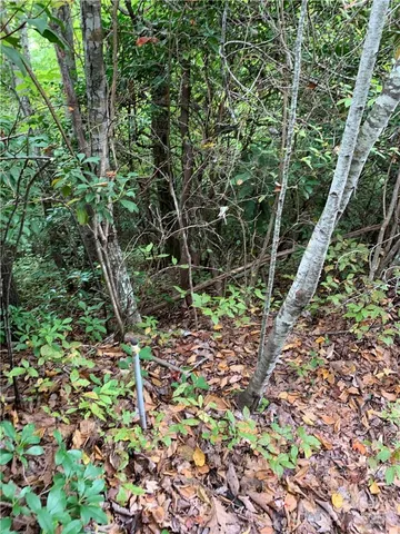 a view of a lake view