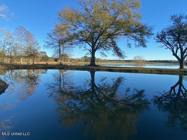294 Boteler Road Florence, MS 39073 - Photo 48 of 59 IMG_8402