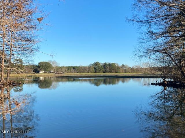 294 Boteler Road Florence, MS 39073 - Photo 54 of 59 IMG_8417