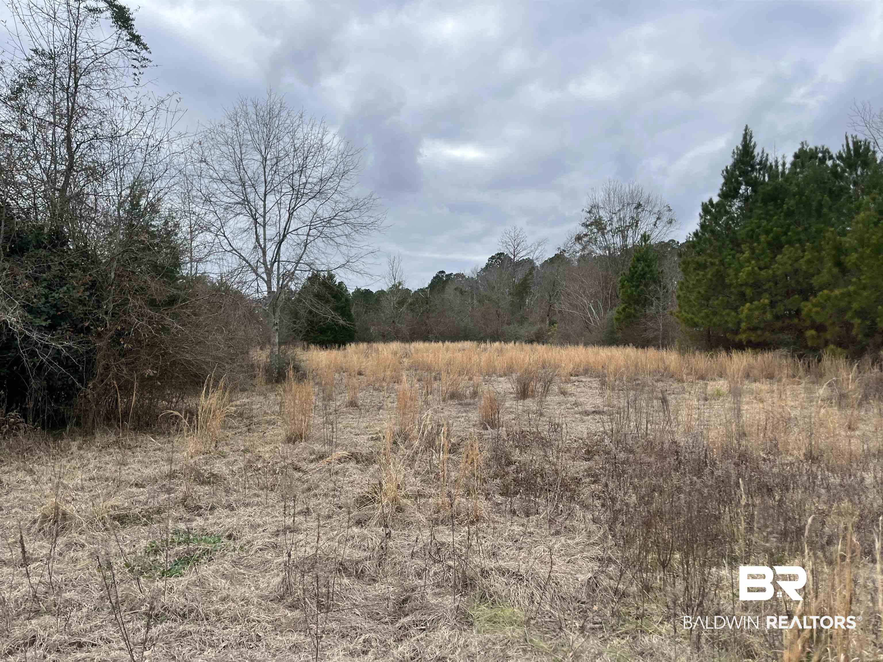 4967 Kirkland Road Brewton, AL 36426 - Photo 4 of 6 View of landscape