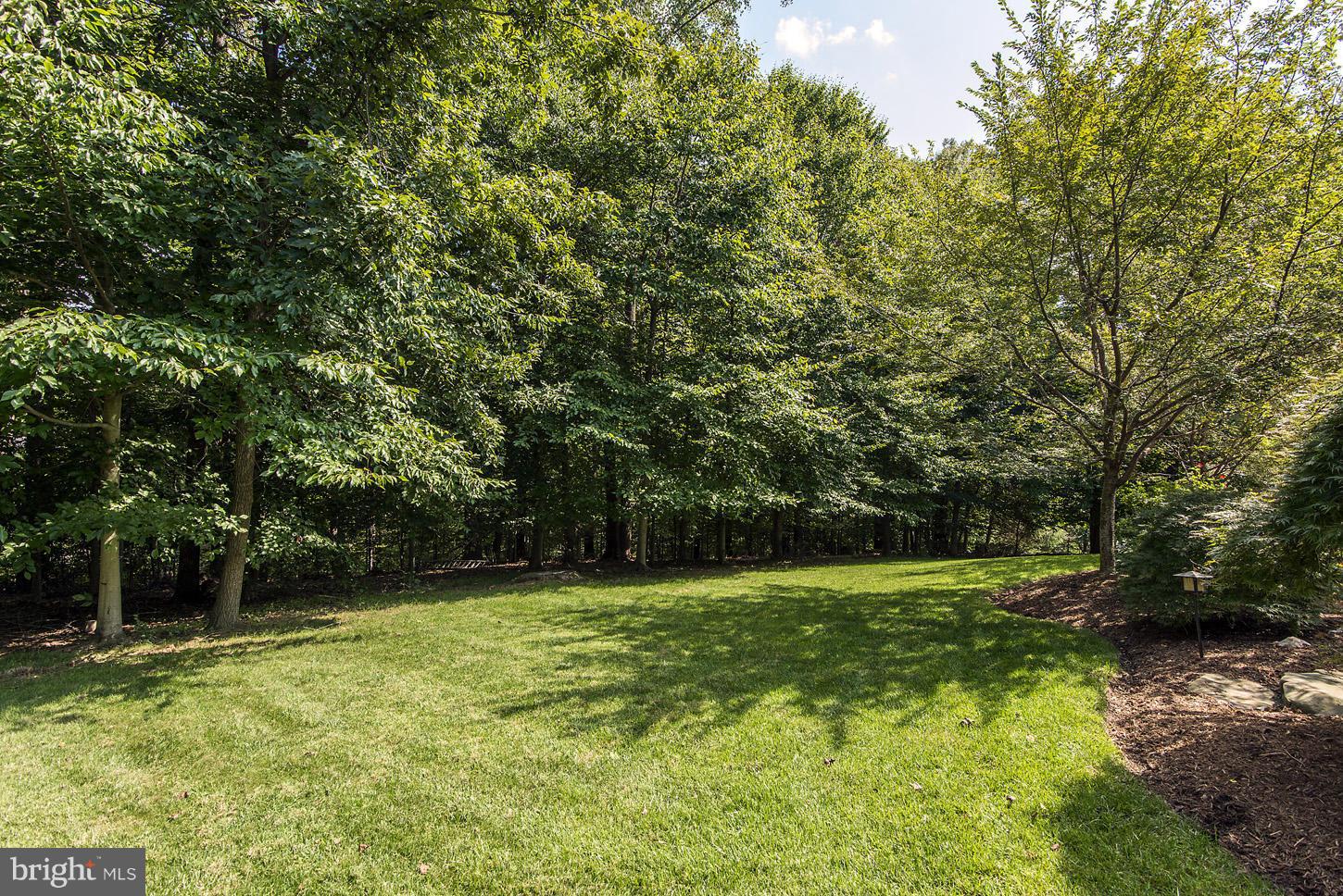 615 Potomac River Road McLean, VA 22102 - Photo 29 of 30 Backyard