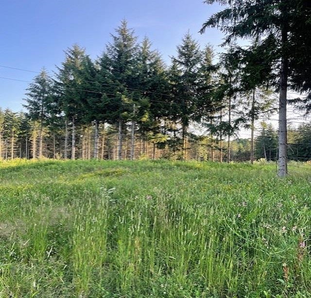 0 East Stockwell Road Harrison, MI 48625 - Photo 14 of 34