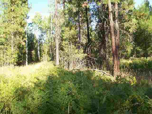 0 Robin Road Usk, WA 99180 - Photo 3 of 3 Gallery Image 3