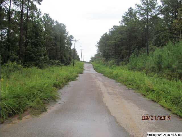 0 Lock 4 Road, Unit 3 PARCEL Lincoln, AL 35096 - Photo 5 of 10