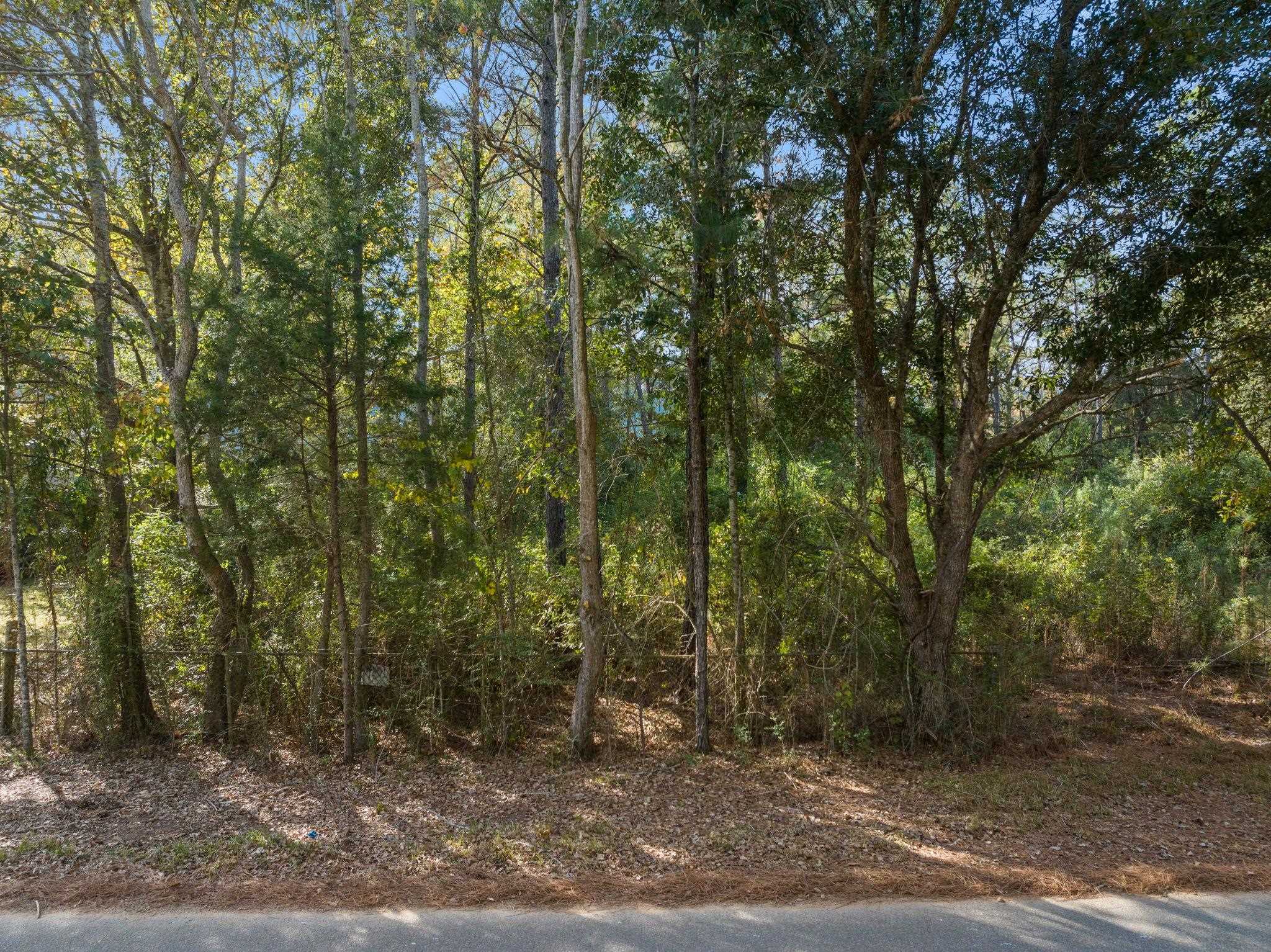 35741 Pine Road North Stapleton, AL 36578 - Photo 9 of 11