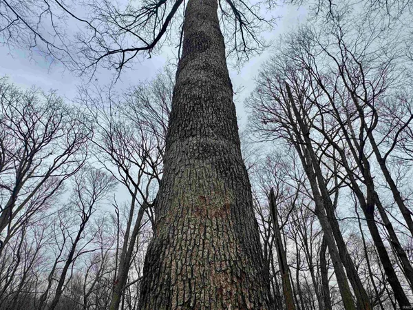 $164,900 | 66 Off Sr, Grandview, IN 47615