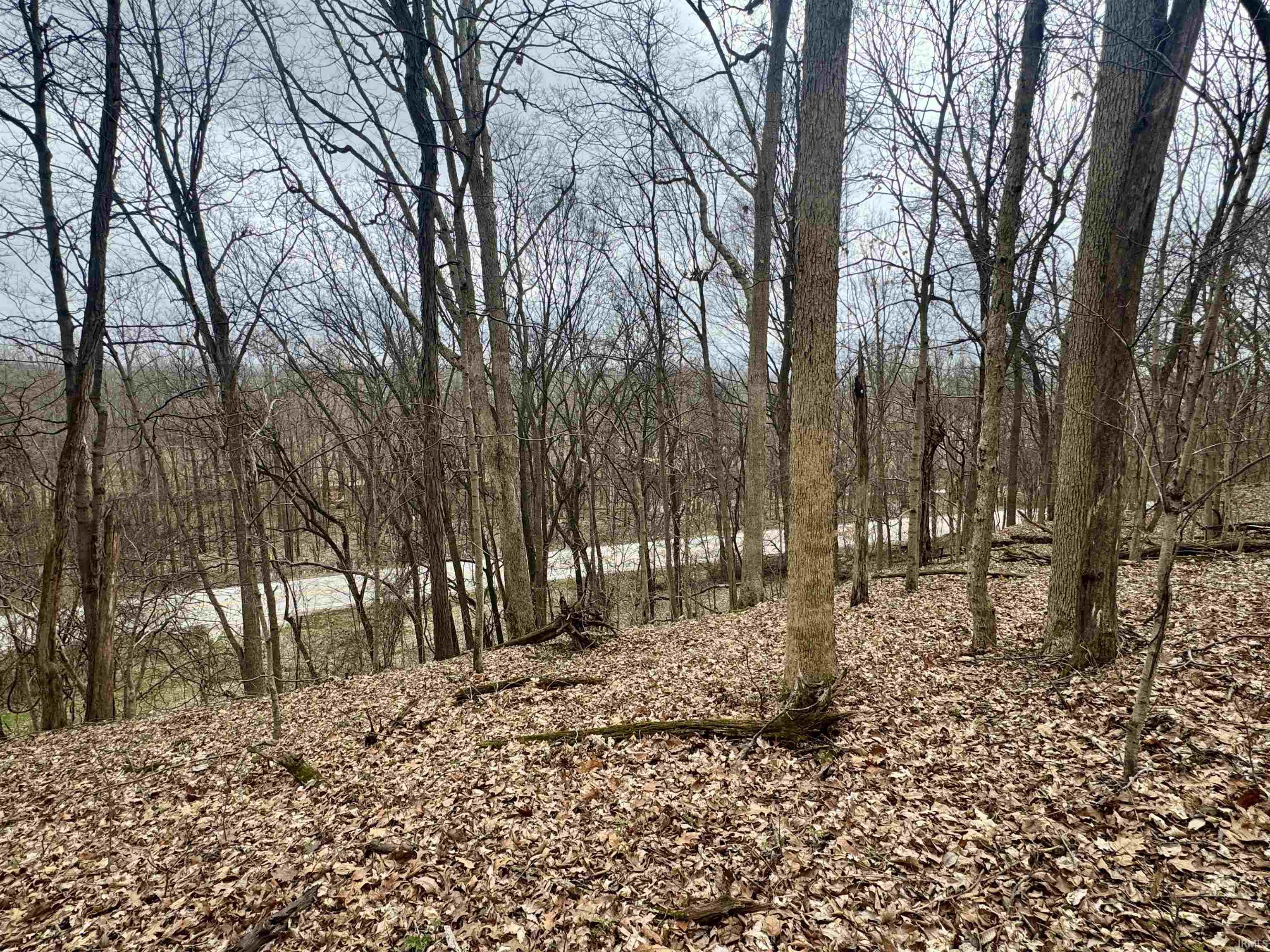 66 Off Sr Grandview, IN 47615 - Photo 22 of 36