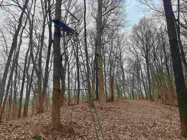 $164,900 | 66 Off Sr, Grandview, IN 47615