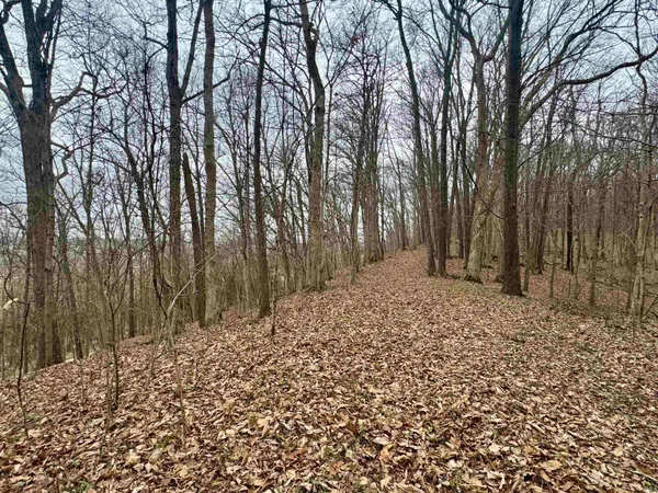 $164,900 | 66 Off Sr, Grandview, IN 47615