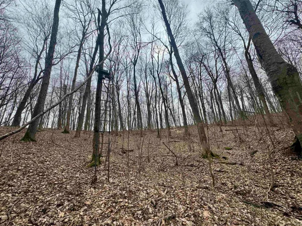 $164,900 | 66 Off Sr, Grandview, IN 47615