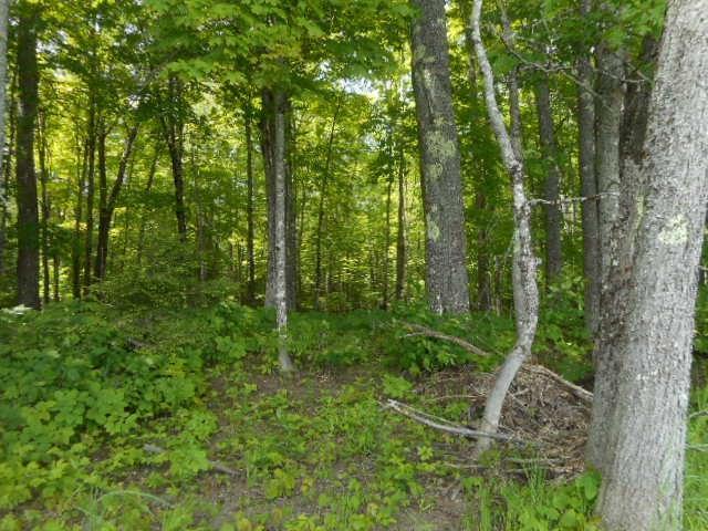 Tbd Lot 2 Tbd Route Lincoln, ME 04457 - Photo 5 of 12 Photo