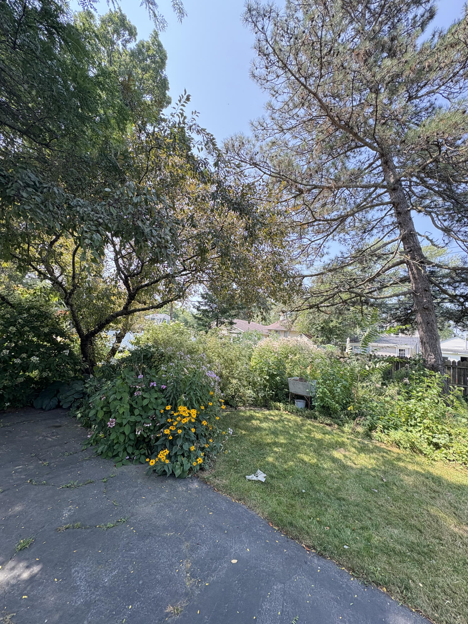 1464 South Riverside Avenue St. Clair, MI 48079 - Photo 14 of 15 Garden:Back Yard