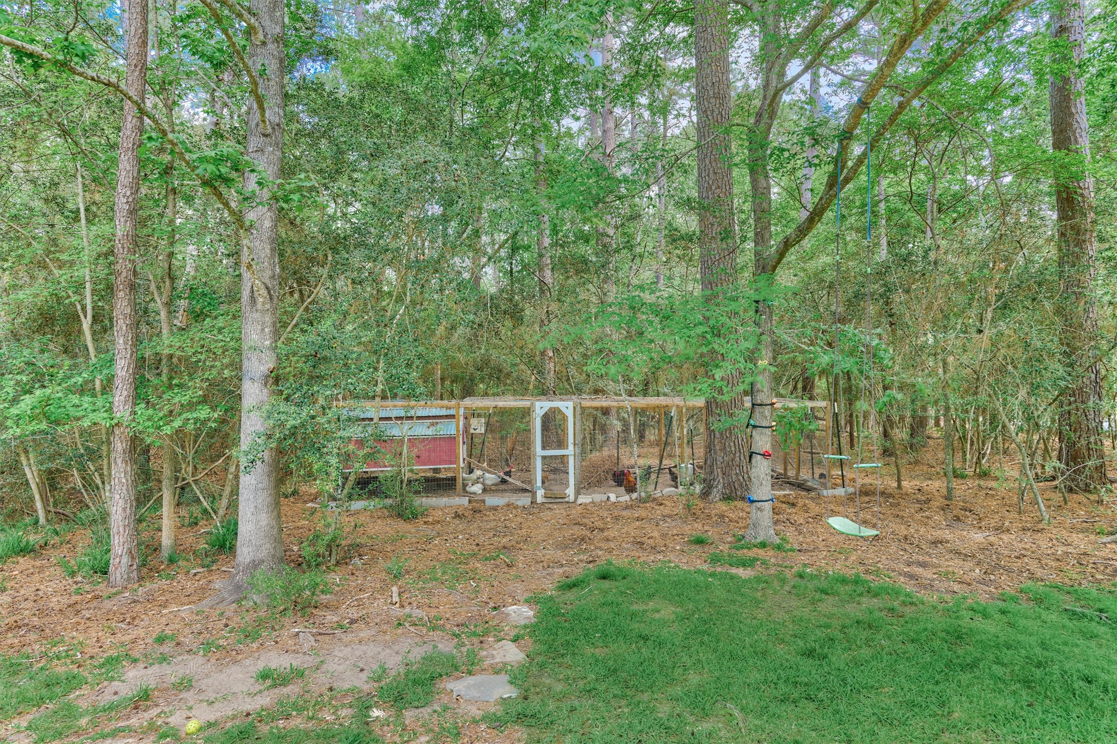 16727 Boothill Road Stagecoach, TX 77355 - Photo 32 of 44 The chicken coop, amidst the mature trees, showcases the rural setting and how you can use the .78-acre lot.