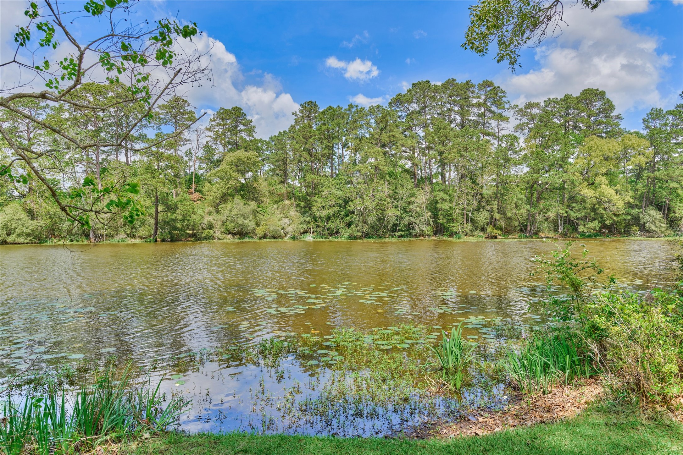 16727 Boothill Road Stagecoach, TX 77355 - Photo 40 of 44 So many tranquil settings throughout this community!