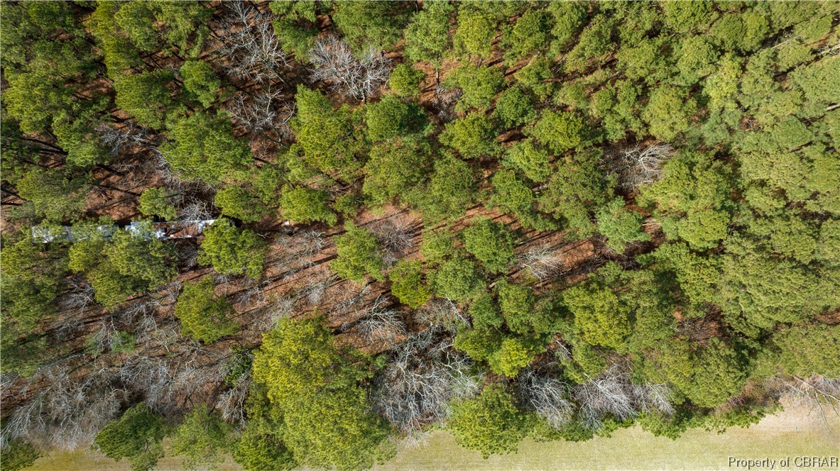 11-ac 11-ac Maryus & Line Fence Road Hayes, VA 23072 - Photo 25 of 32