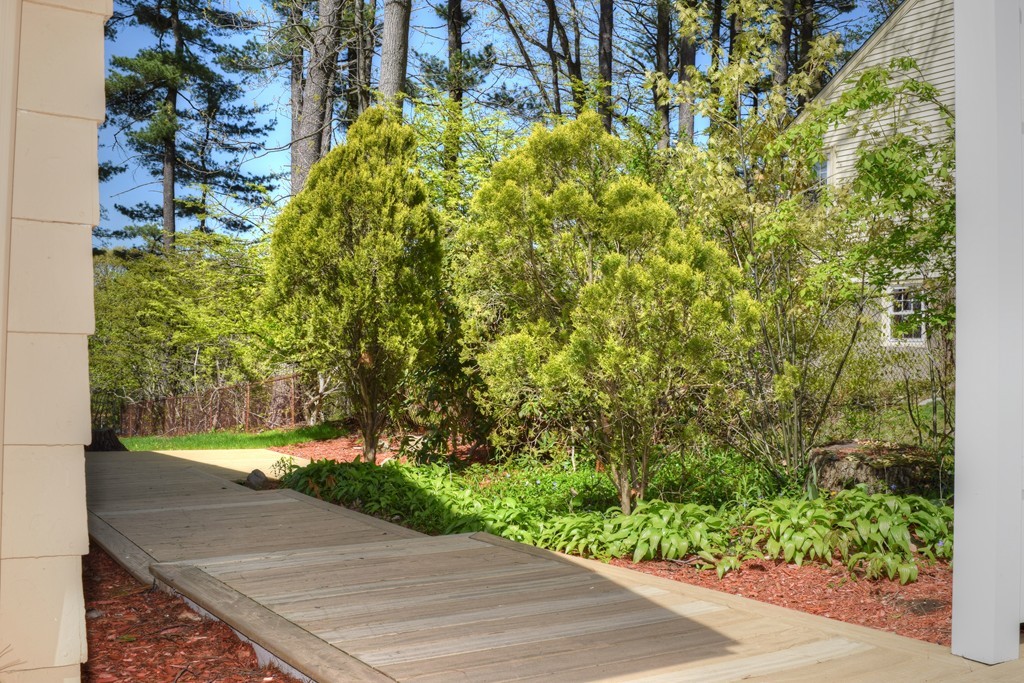 15 Benjamin Road Lexington, MA 02421 - Photo 8 of 9 a view of a yard with plants and trees