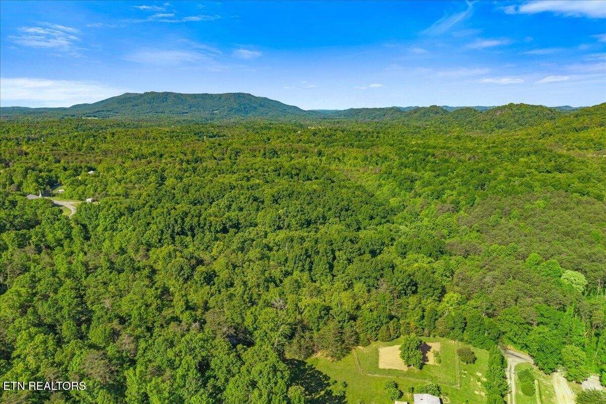 0 Shaddon Road Tellico Plains, TN 37385 - Photo 10 of 17 a view of an lush green mountain