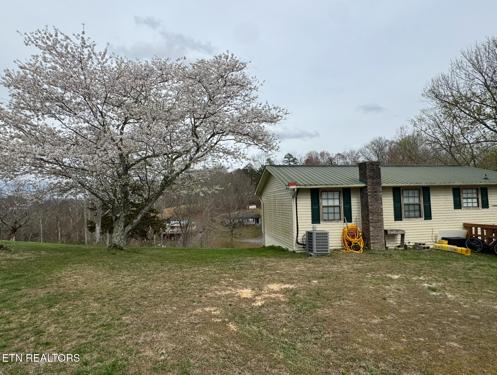 257 Parliament Road Harrogate, TN 37752 - Photo 21 of 24 Back of home