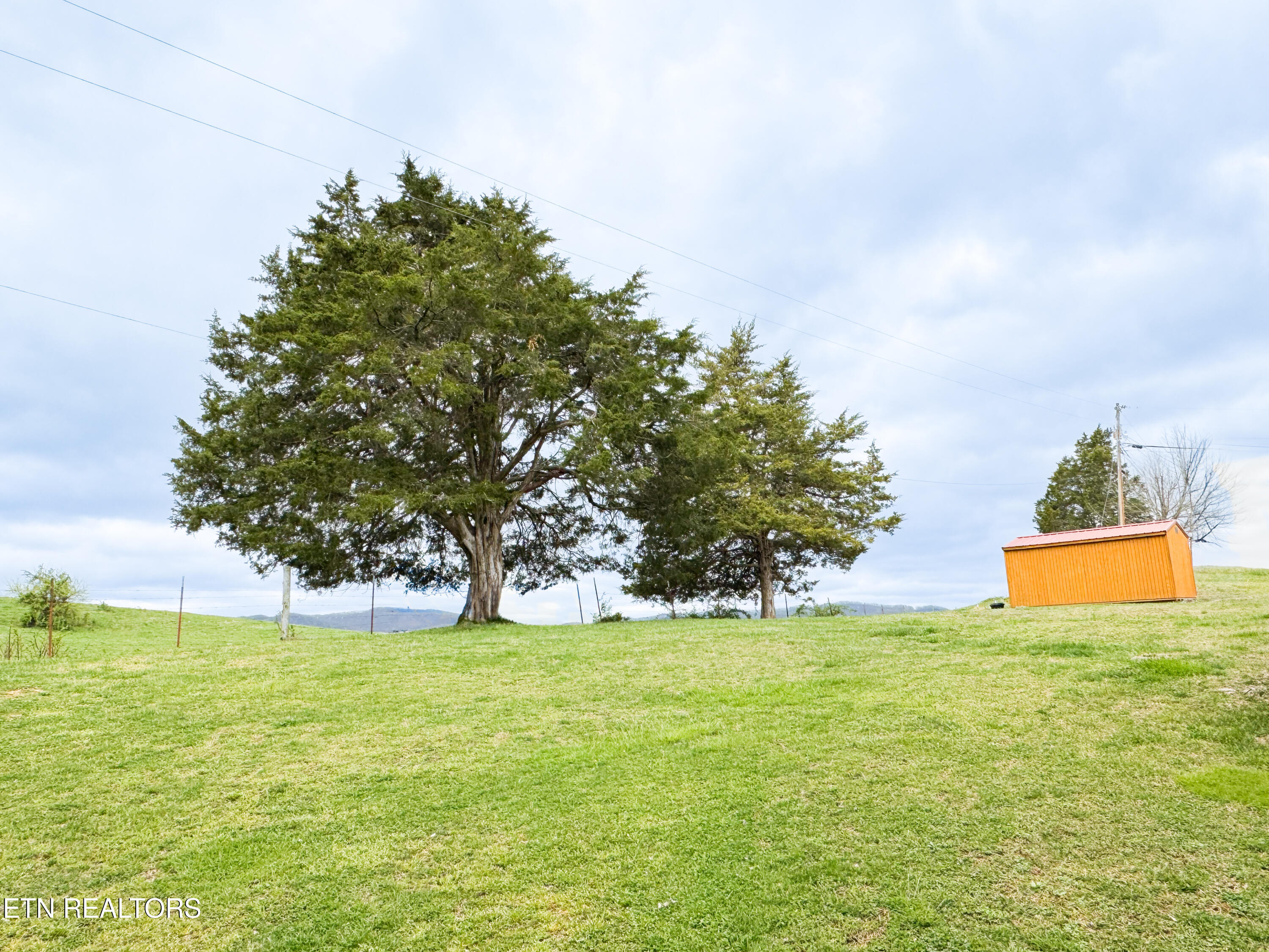 257 Parliament Road Harrogate, TN 37752 - Photo 24 of 24 Backyard