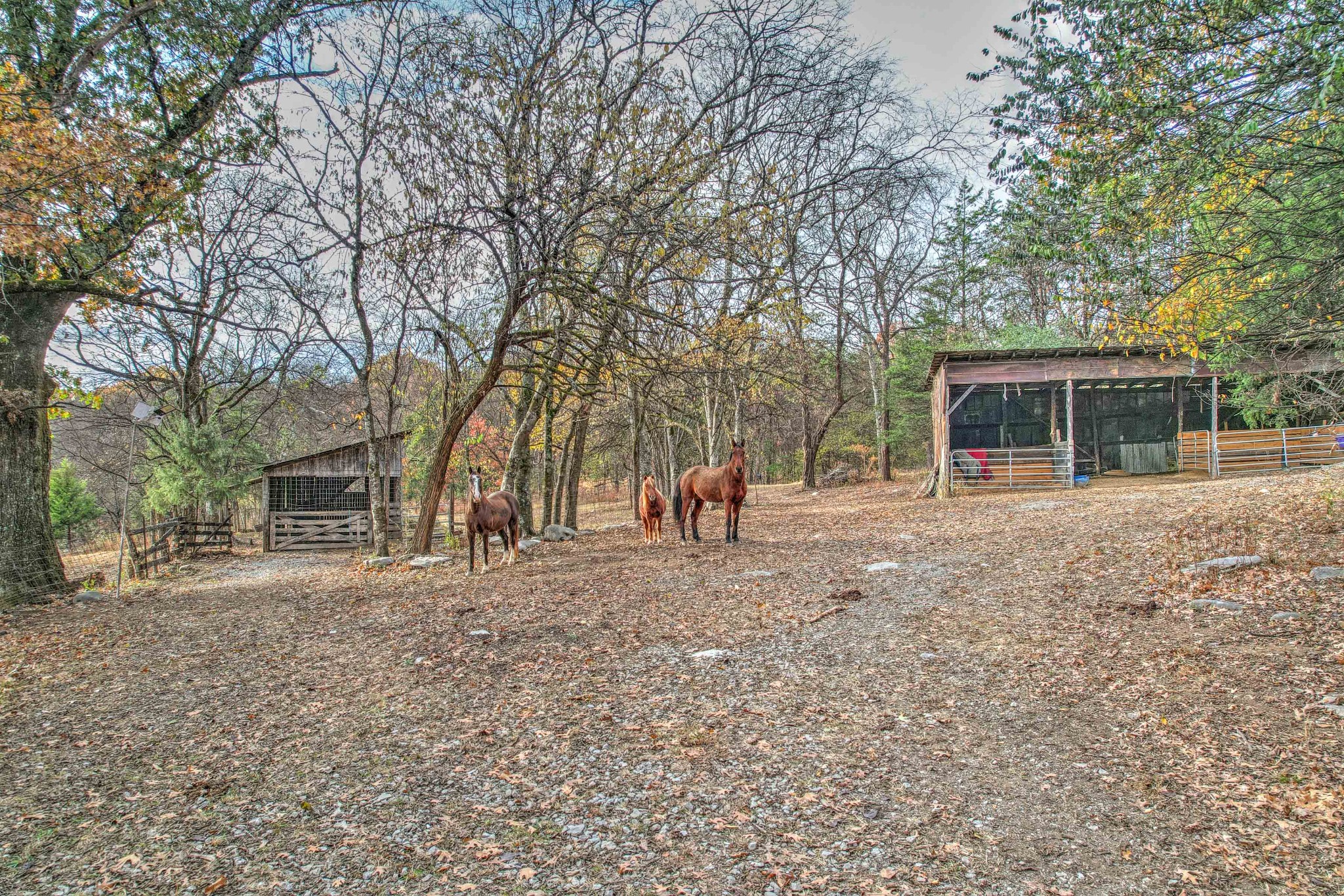 345 Wabash Road Mulberry, TN 37359 - Photo 51 of 63